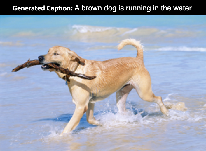 Image Captioning